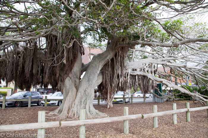 Balmoral Beach Sydney Australia