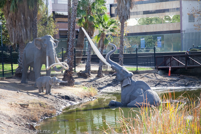 La Brea Tar Pits, LA, USA