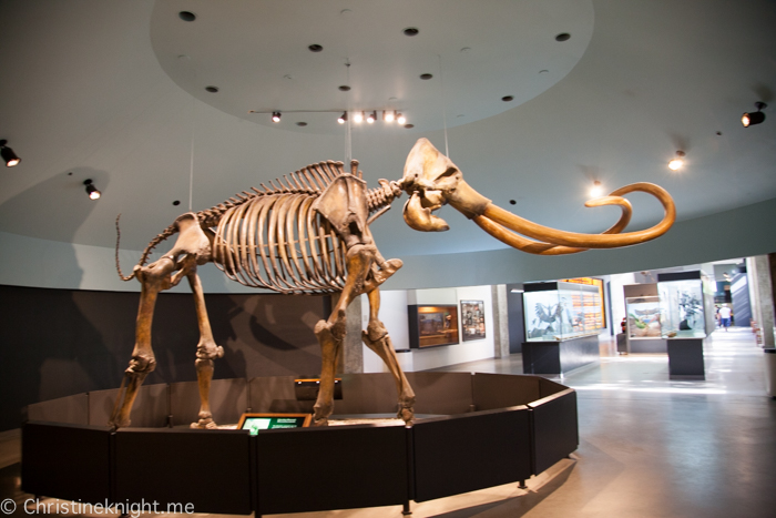 La Brea Tar Pits and Museum, Los Angeles, California, USA