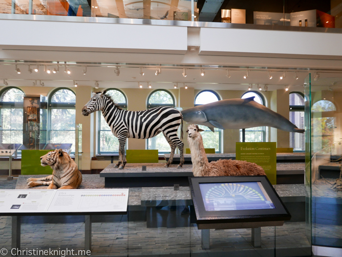 Natural History Museum of Los Angeles County, USA