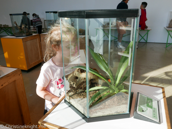 Natural History Museum of Los Angeles County, USA