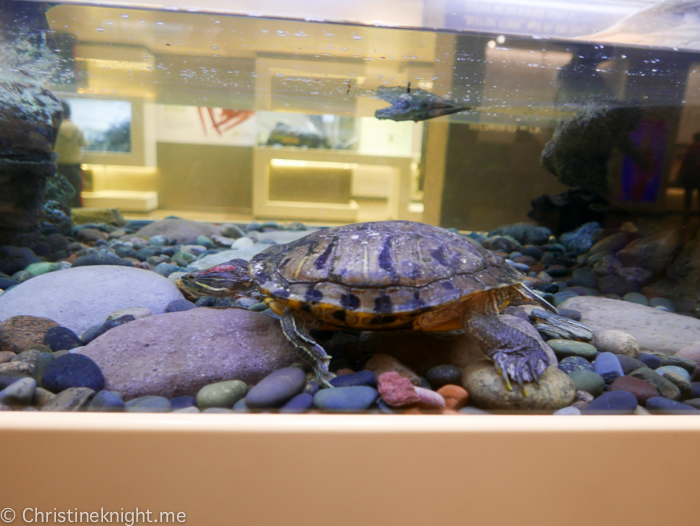 Natural History Museum of Los Angeles County, USA