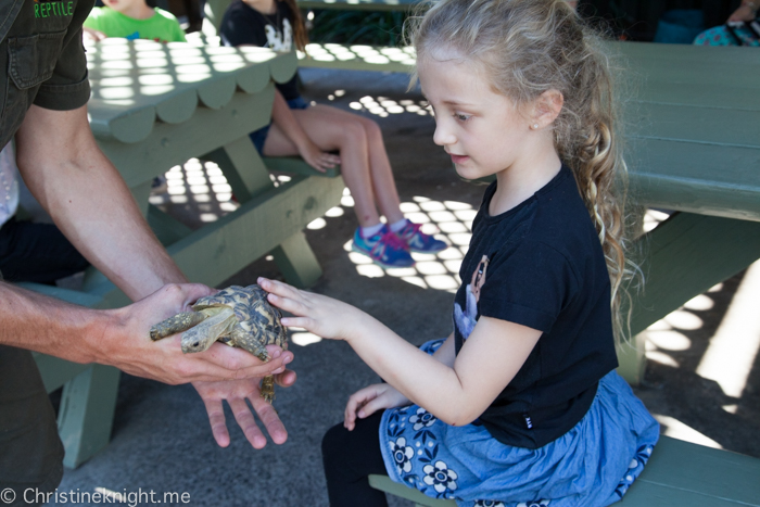 Sydney Day Trips: The Australian Reptile Park #sydneydaytrip #familytravel #australia