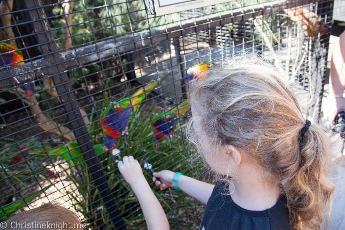 Sydney Day Trips: The Australian Reptile Park #sydneydaytrip #familytravel #australia