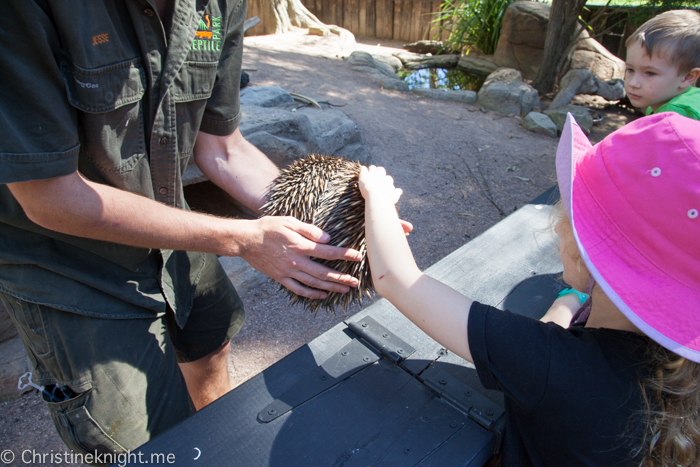 Sydney Day Trips: The Australian Reptile Park #sydneydaytrip #familytravel #australia