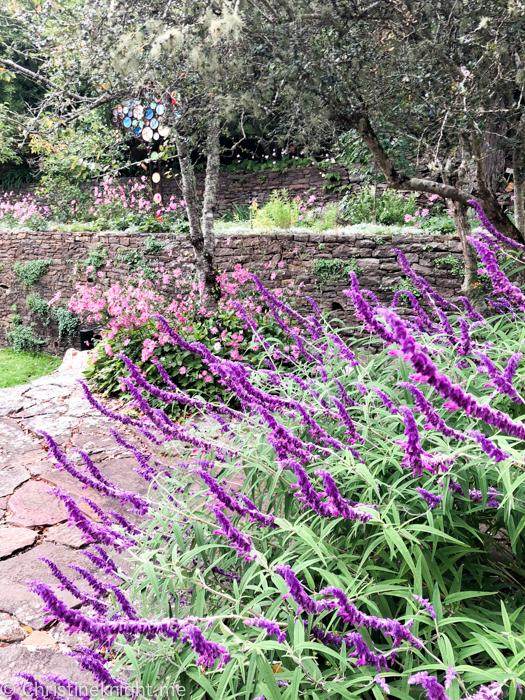 Everglades Historic House & Gardens, Leura, Blue Mountains