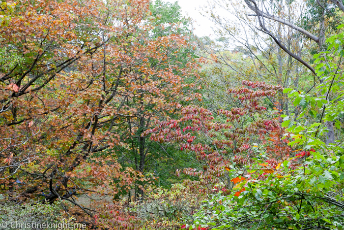 Everglades Historic House & Gardens, Leura, Blue Mountains