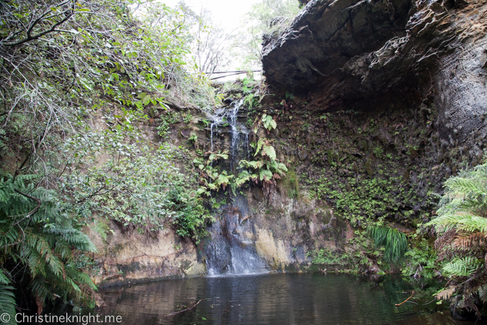 Everglades Historic House & Gardens, Leura, Blue Mountains