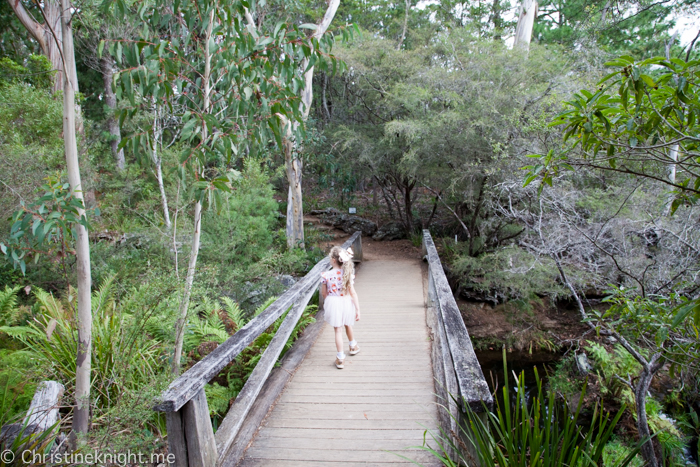 Everglades Historic House & Gardens, Leura, Blue Mountains