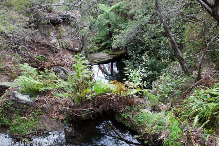 Everglades Historic House & Gardens, Leura, Blue Mountains