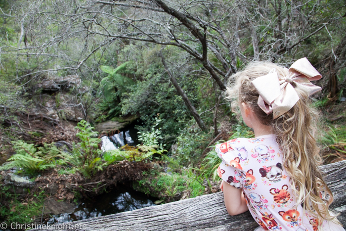 Everglades Historic House & Gardens, Leura, Blue Mountains