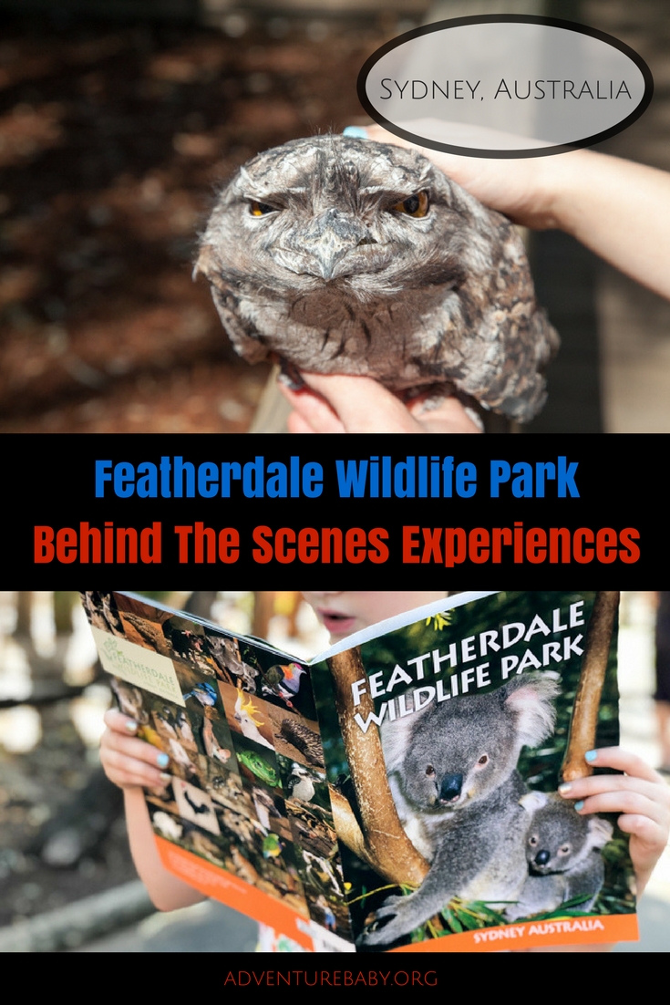 Featherdale Wildlife Park Behind-The-Scenes Experiences, Sydney, Australia