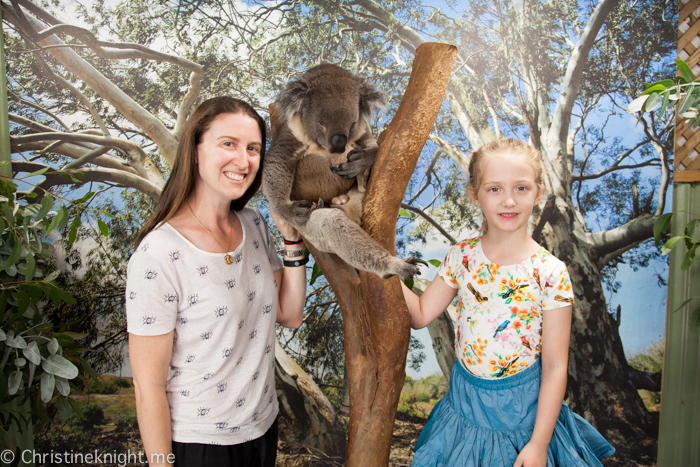 Featherdale Wildlife Park, Sydney, Australia