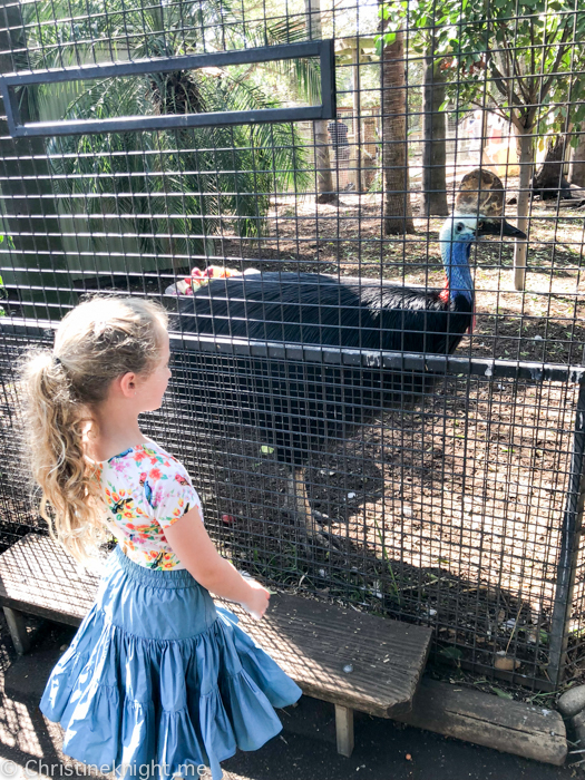 Featherdale Wildlife Park, Sydney, Australia