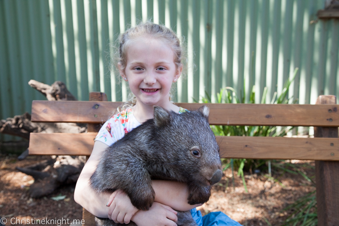 Featherdale Wildlife Park, Sydney, Australia