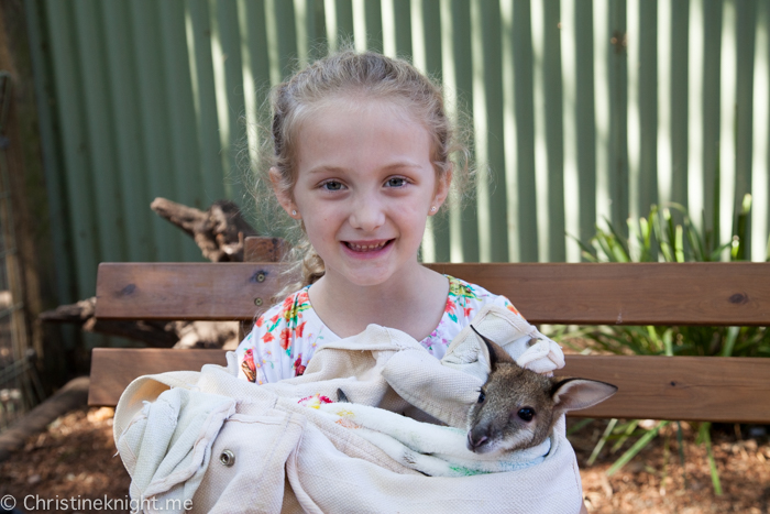 Featherdale Wildlife Park, Sydney, Australia