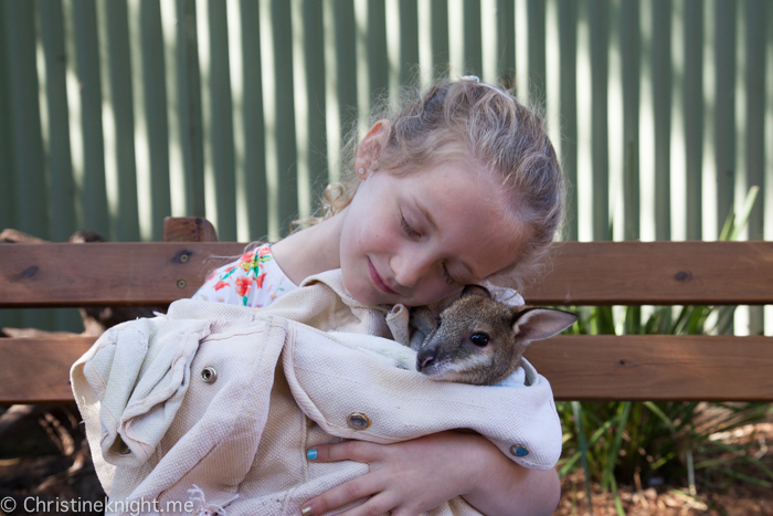 Featherdale Wildlife Park, Sydney, Australia