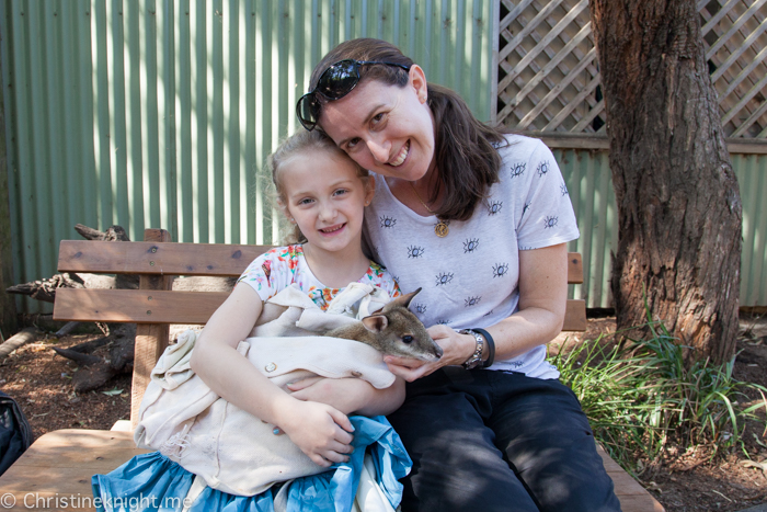 Featherdale Wildlife Park, Sydney, Australia