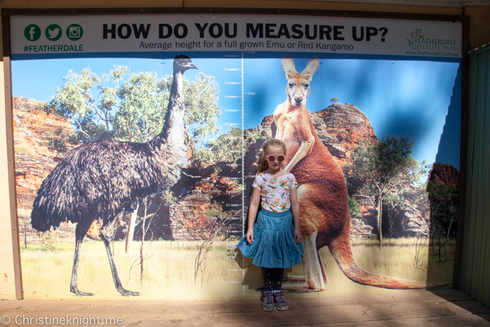 Featherdale Wildlife Park, Sydney, Australia