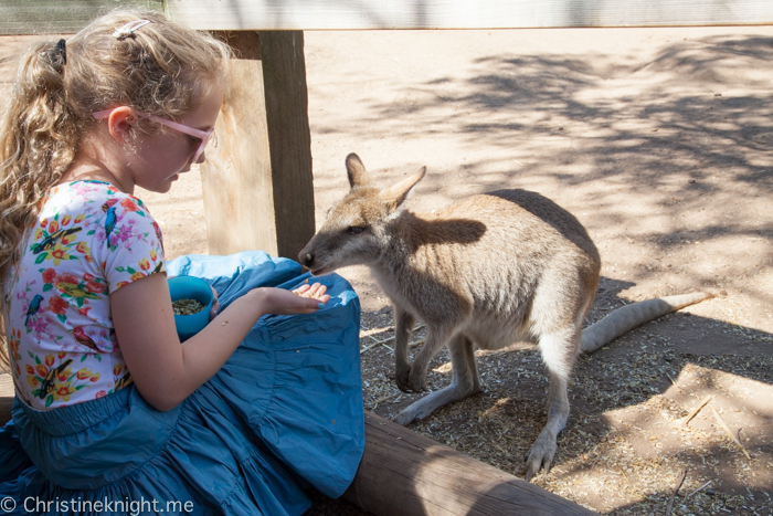 Featherdale Wildlife Park, Sydney, Australia