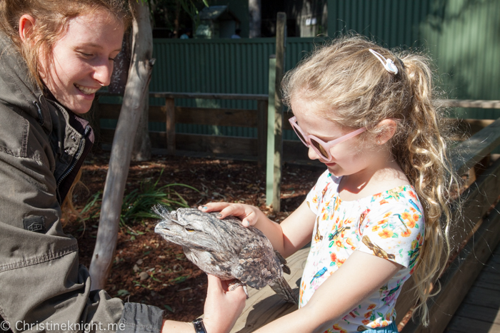 Featherdale Wildlife Park, Sydney, Australia