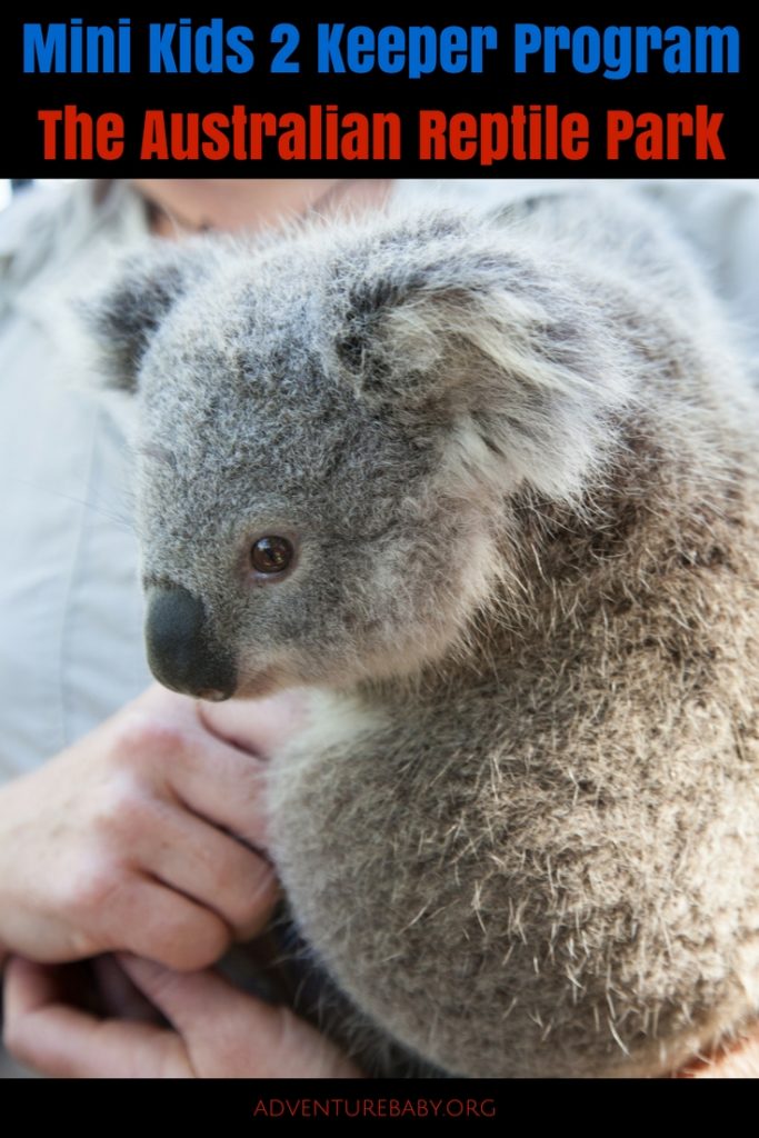 Australian Reptile Park: Mini Kids 2 Keeper Experience - Adventure, Baby!