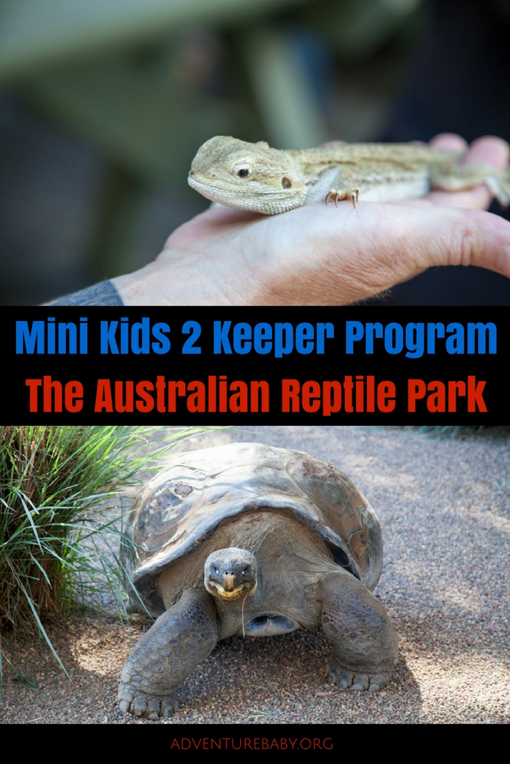 Sydney Day Trips: The Mini Kids 2 Keeper Program at The Australian Reptile Park #sydneydaytrip #familytravel #australia