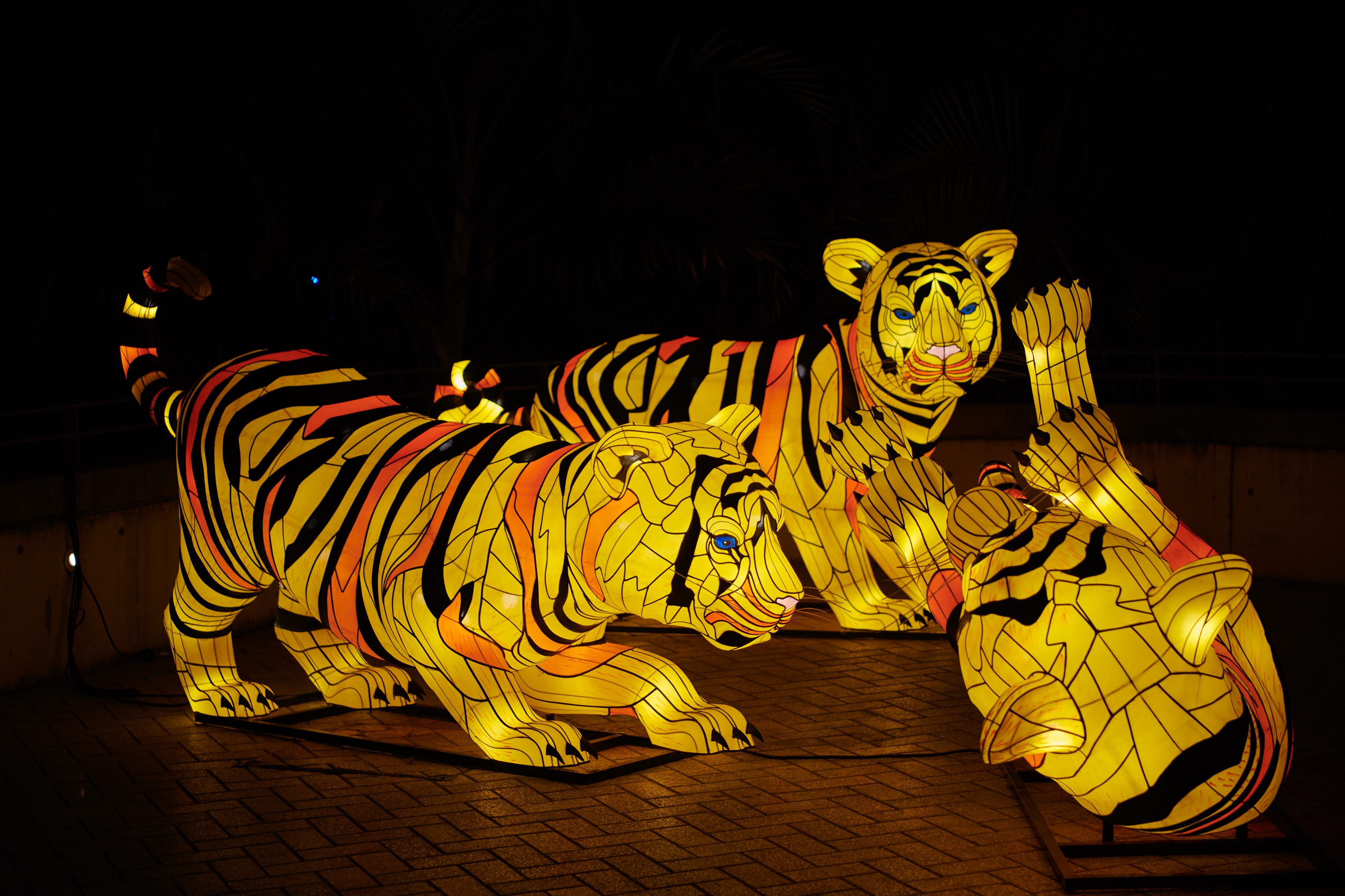 Vivid Sydney at Taronga Zoo