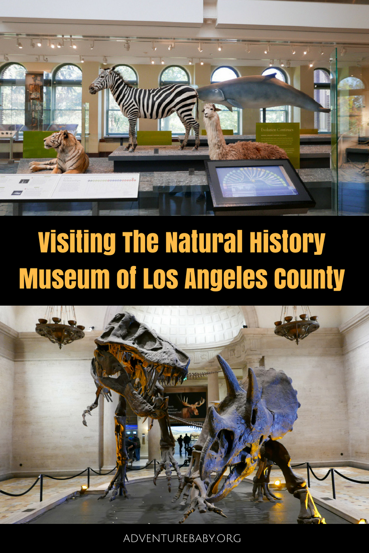 Natural History Museum of Los Angeles County