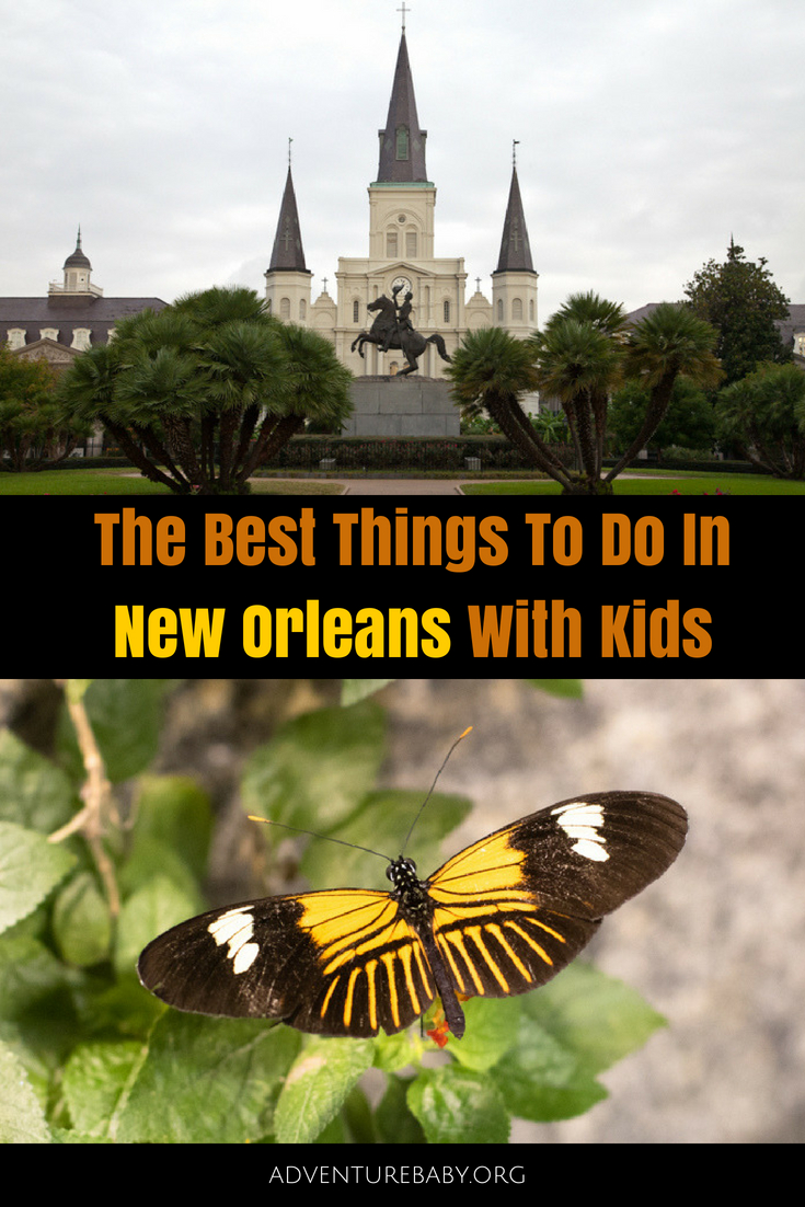 The Best Things To Do In New Orleans With Kids, USA