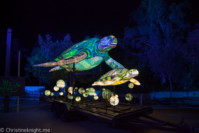 Vivid Sydney at Taronga Zoo