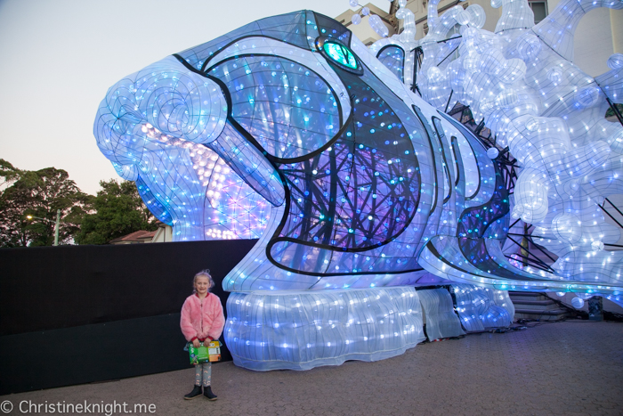 Vivid Sydney at Taronga Zoo