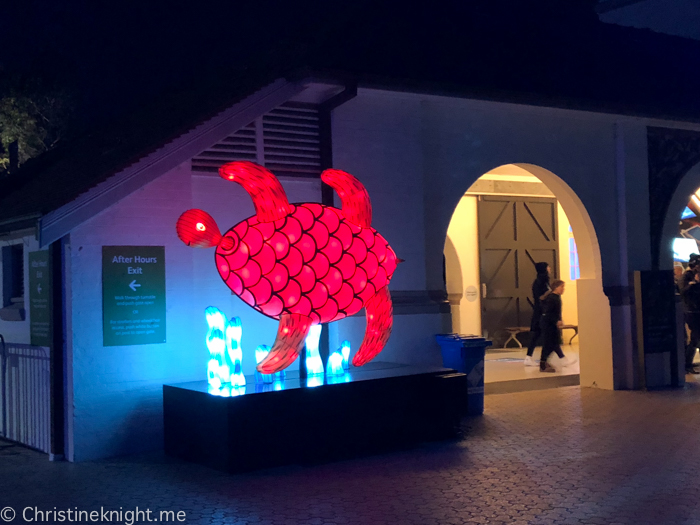 Vivid Sydney at Taronga Zoo