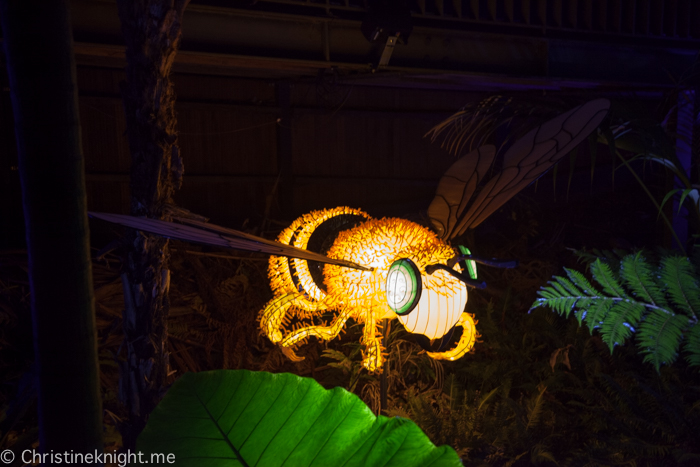 Vivid Sydney at Taronga Zoo