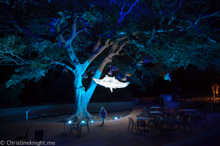 Vivid Sydney at Taronga Zoo