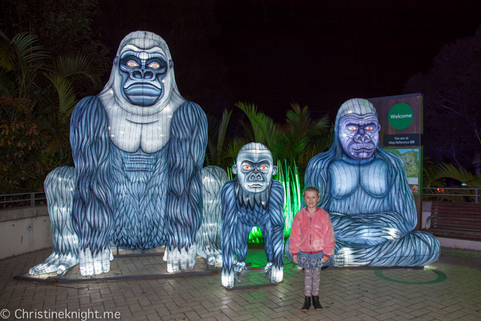 Vivid Sydney at Taronga Zoo