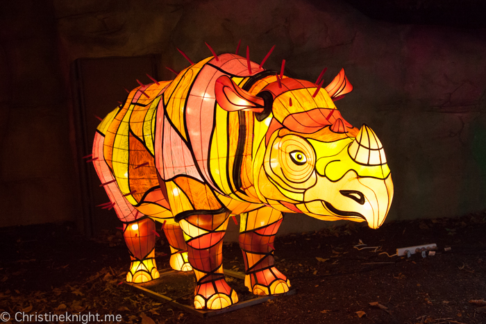 Vivid Sydney at Taronga Zoo