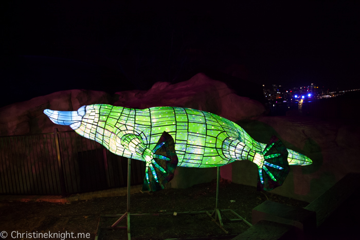 Vivid Sydney at Taronga Zoo