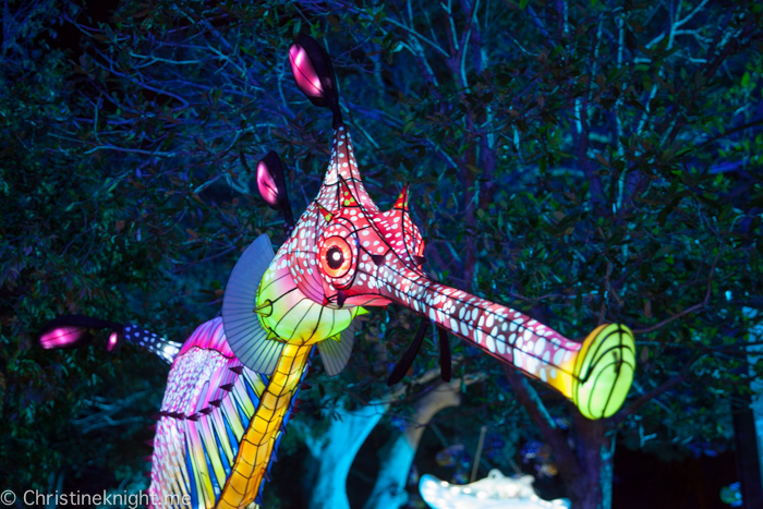 Vivid Sydney at Taronga Zoo