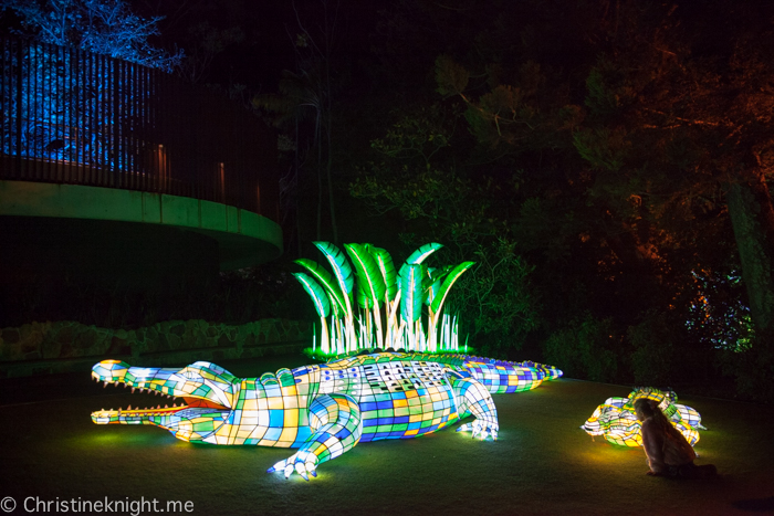 Vivid Sydney at Taronga Zoo