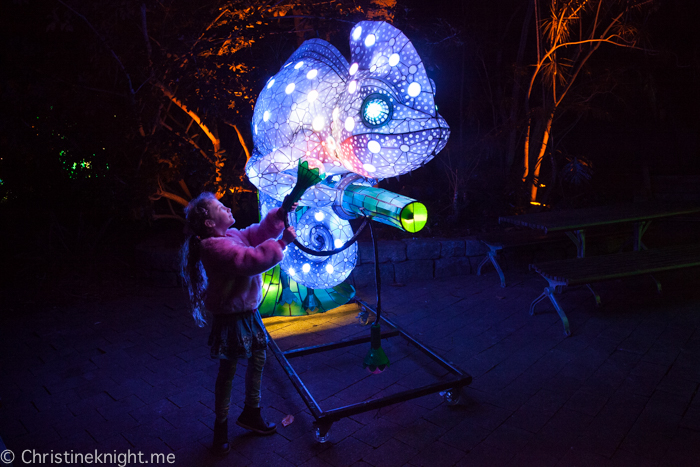 Vivid Sydney at Taronga Zoo