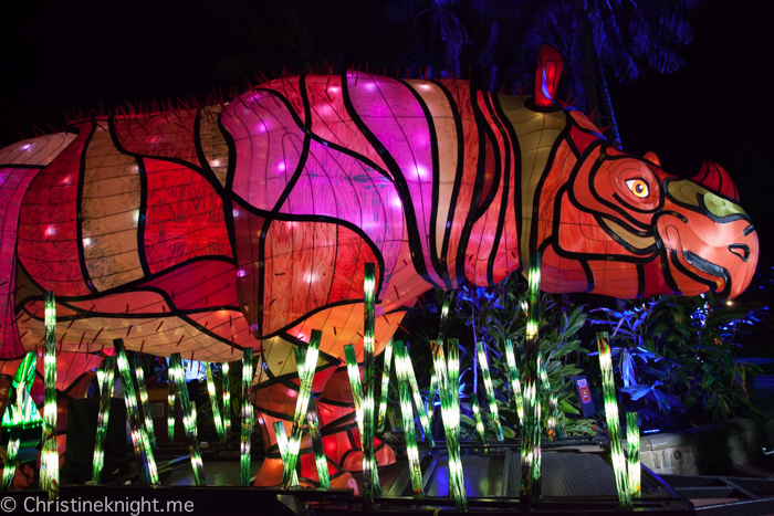 Vivid Sydney at Taronga Zoo