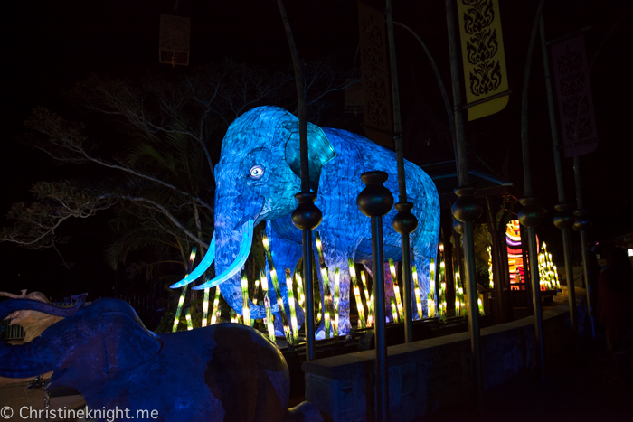 Vivid Sydney at Taronga Zoo