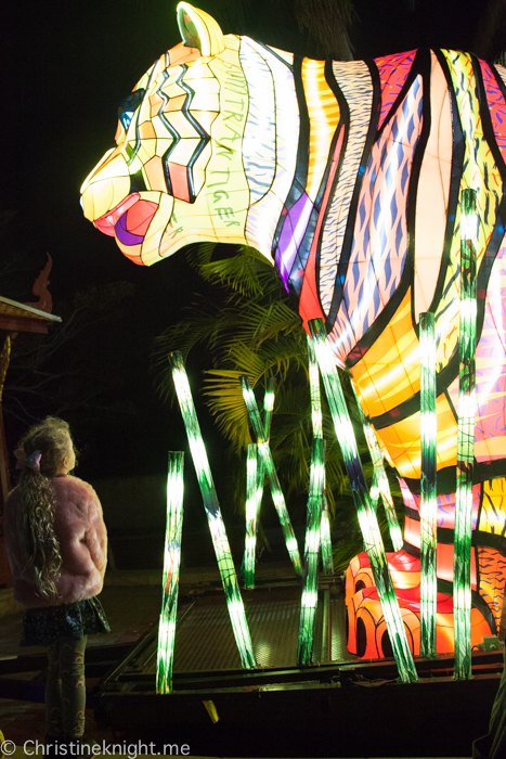 Vivid Sydney at Taronga Zoo