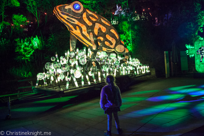 Vivid Sydney at Taronga Zoo