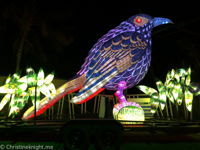 Vivid Sydney at Taronga Zoo