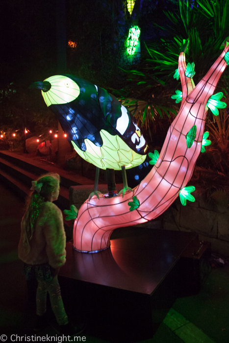 Vivid Sydney at Taronga Zoo