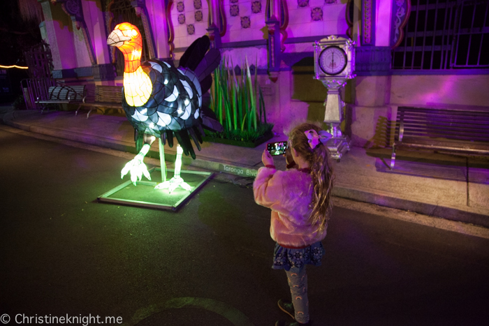 Vivid Sydney at Taronga Zoo