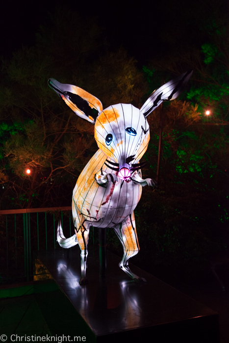 Vivid Sydney at Taronga Zoo