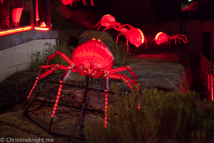 Vivid Sydney at Taronga Zoo